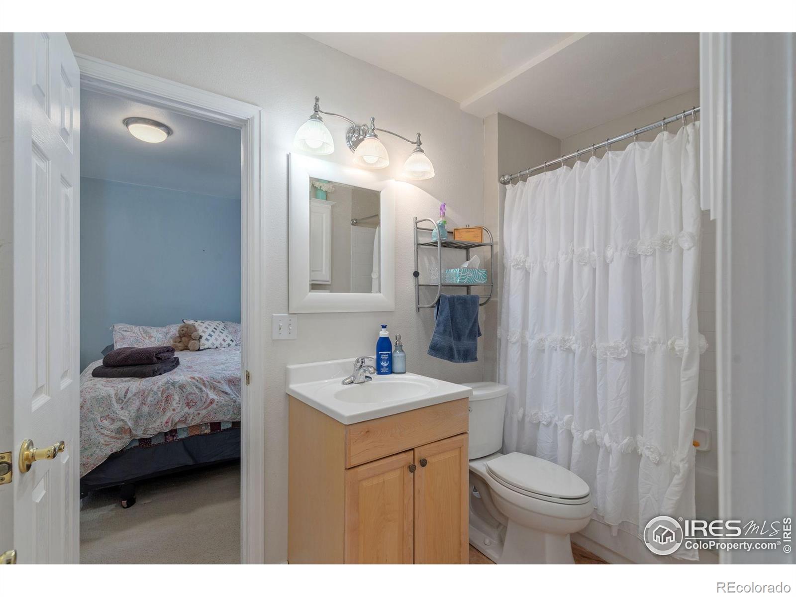 MLS Image #12 for 2193  sand dollar circle,longmont, Colorado