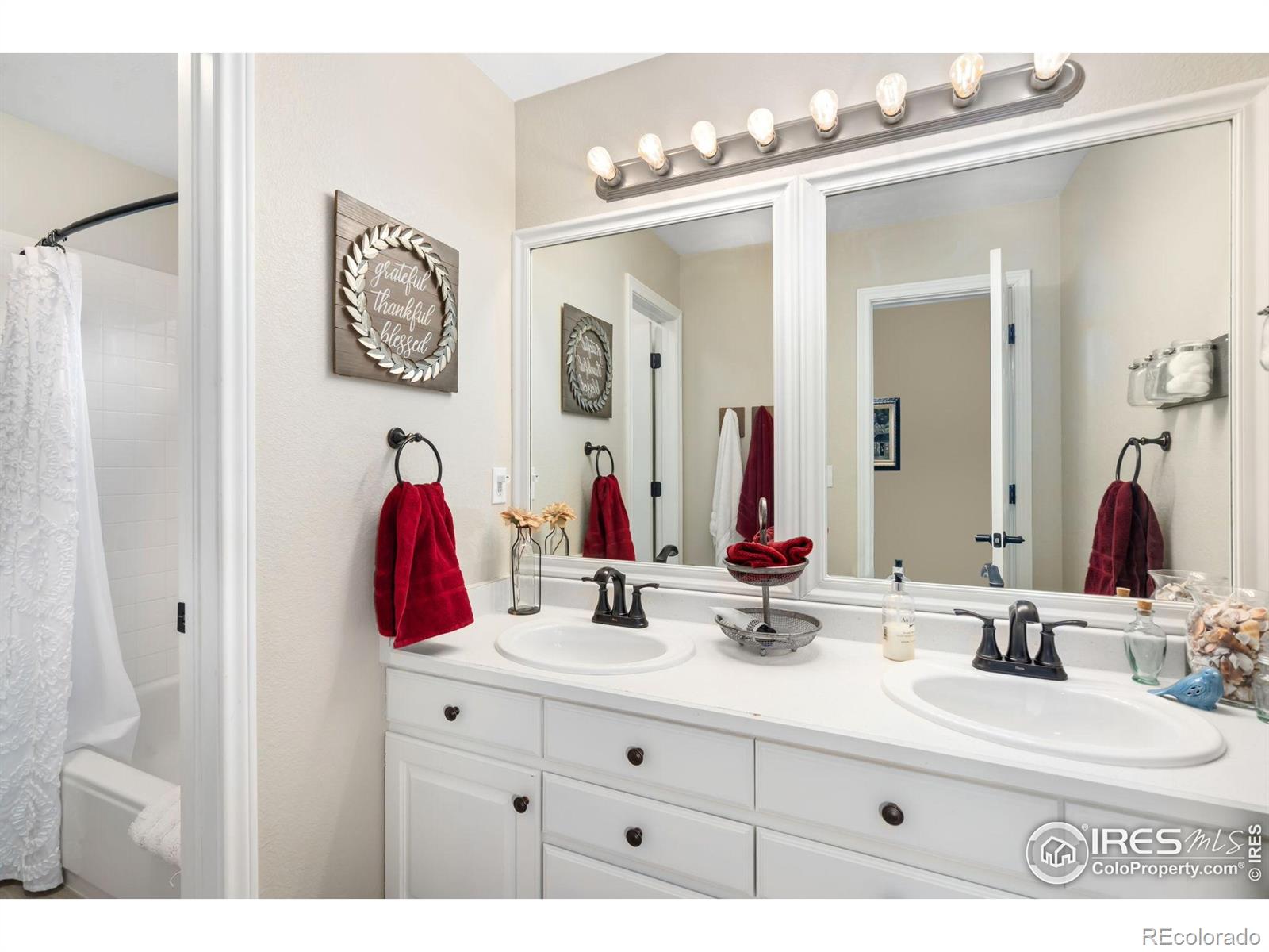 MLS Image #16 for 2193  sand dollar circle,longmont, Colorado