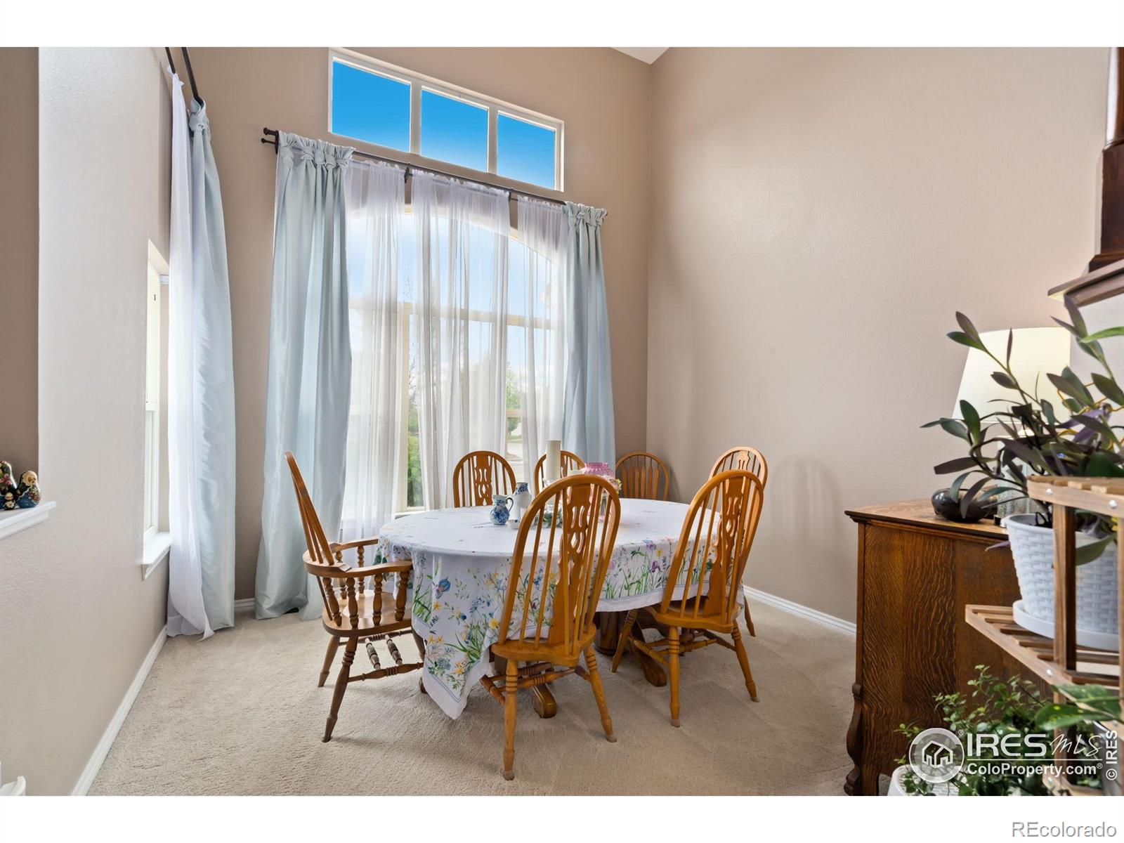 MLS Image #22 for 2193  sand dollar circle,longmont, Colorado