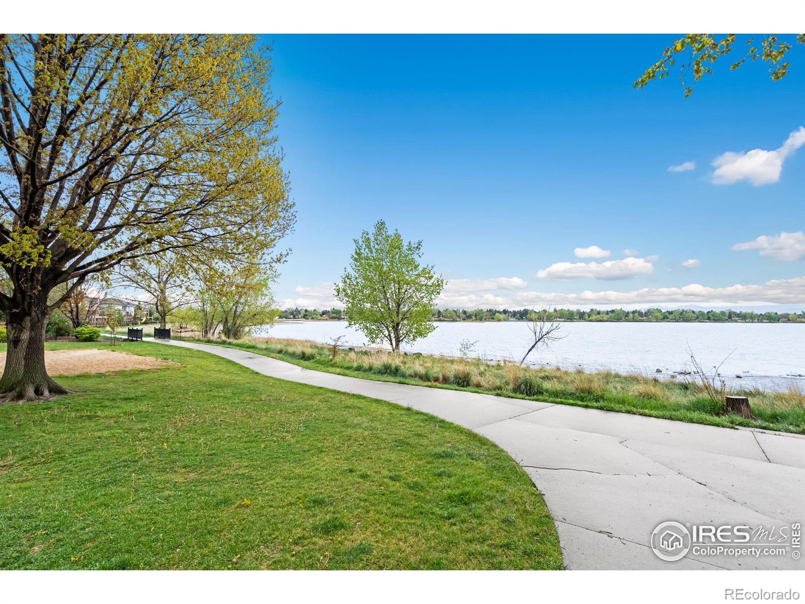MLS Image #36 for 2193  sand dollar circle,longmont, Colorado