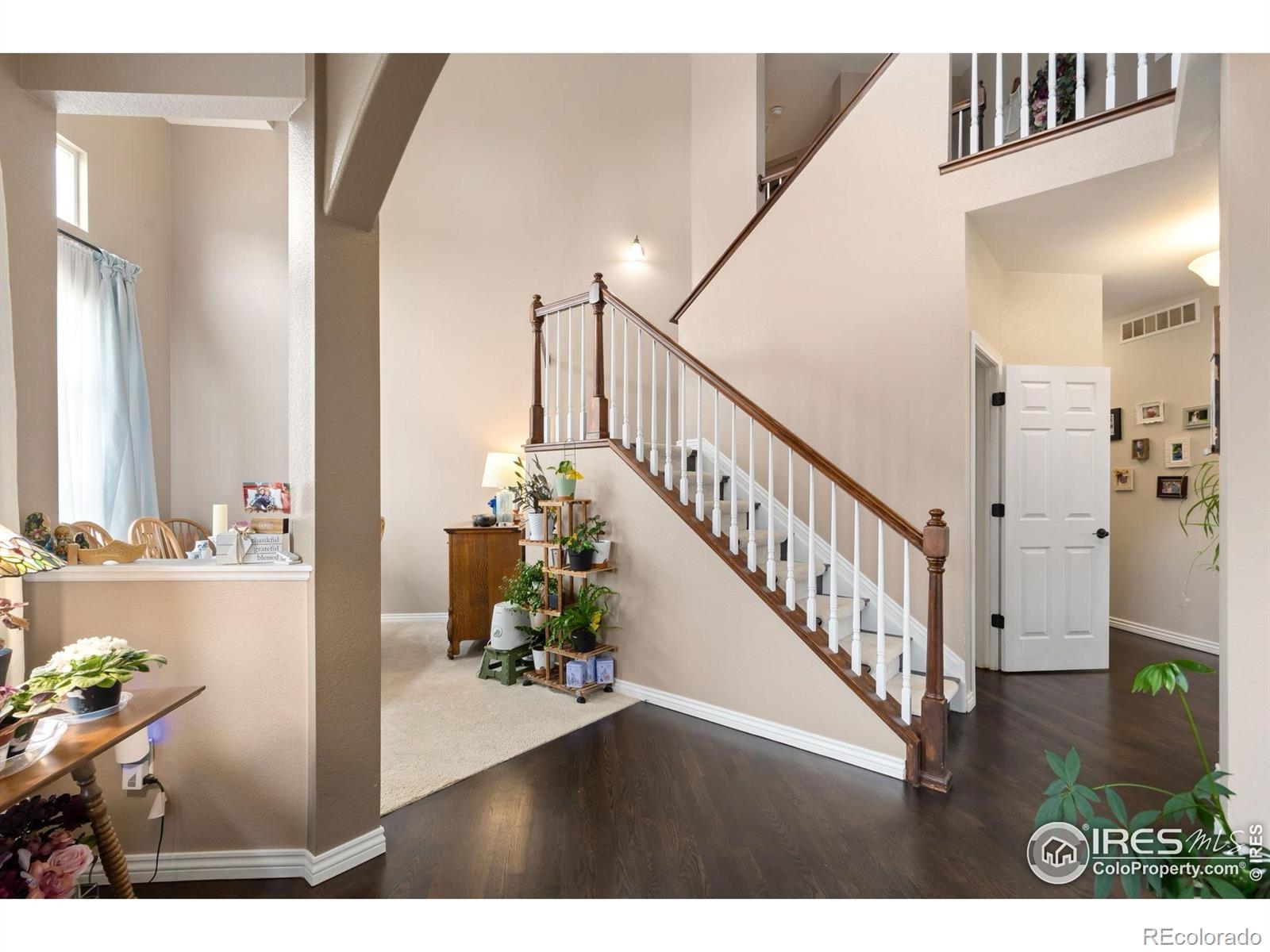 MLS Image #4 for 2193  sand dollar circle,longmont, Colorado