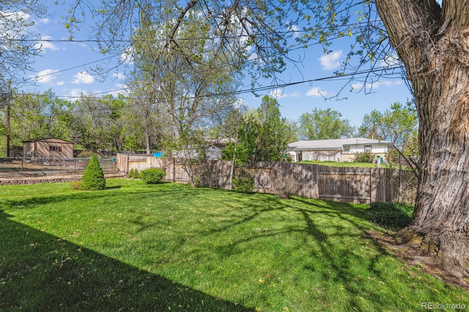 MLS Image #42 for 6882  moore street,arvada, Colorado
