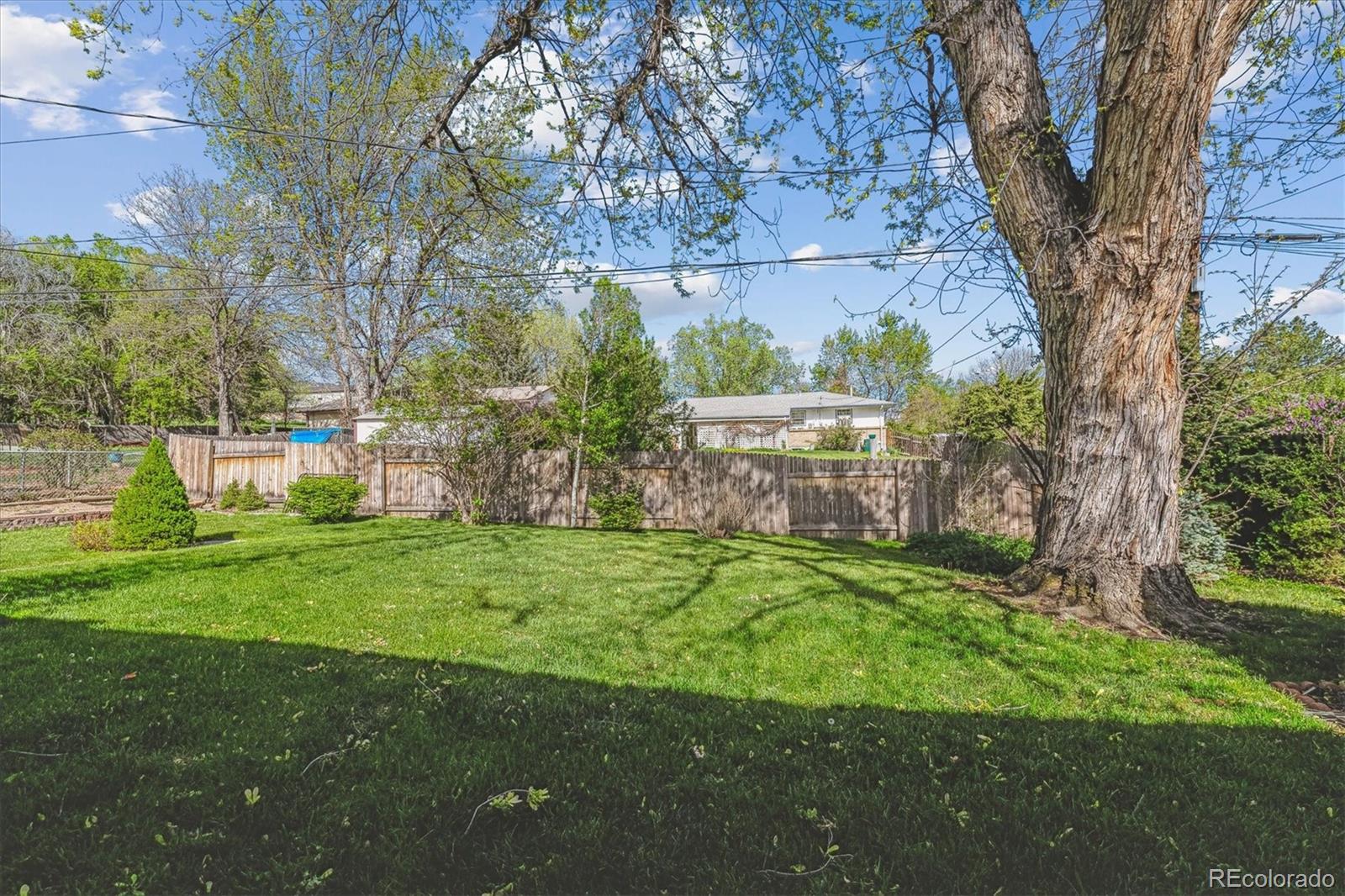 MLS Image #43 for 6882  moore street,arvada, Colorado