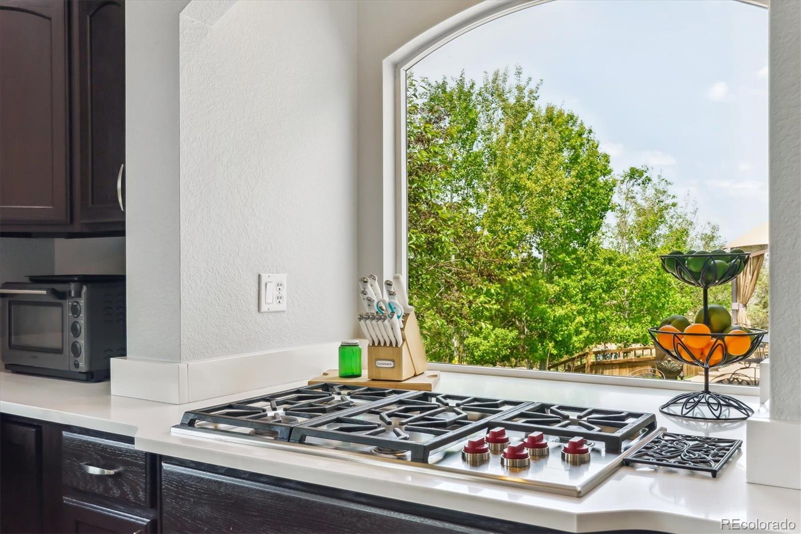 MLS Image #17 for 2307  candleglow street,castle rock, Colorado