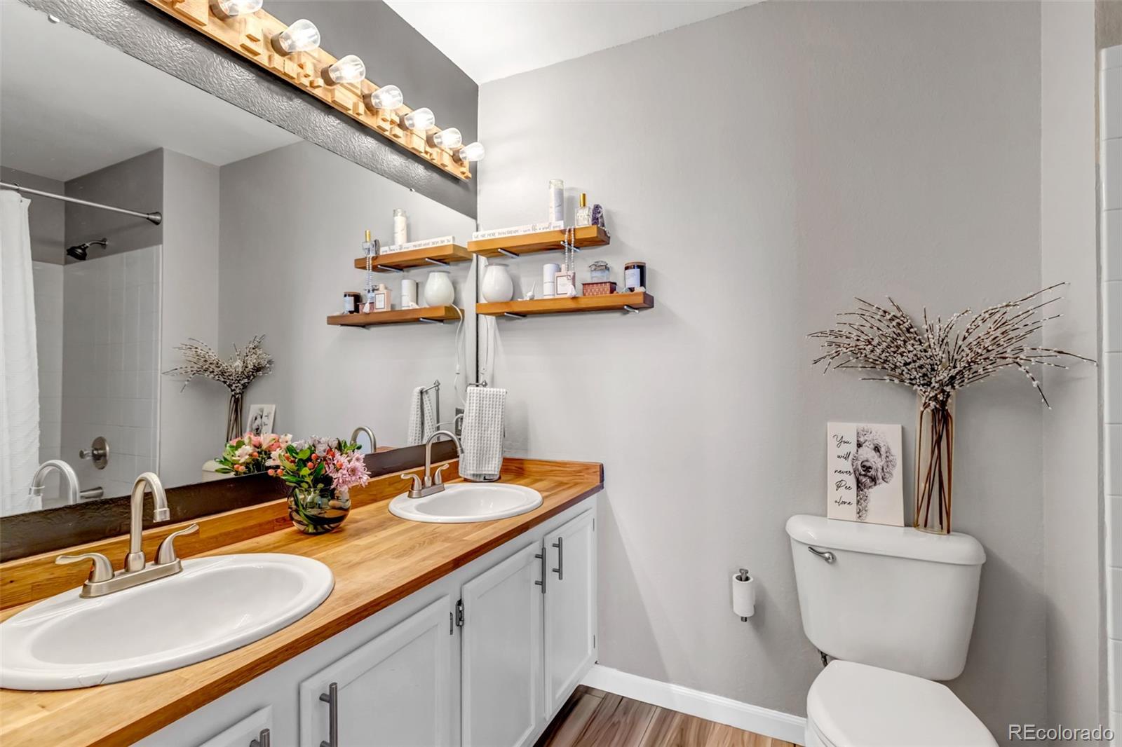 MLS Image #8 for 6001  castlegate drive,castle rock, Colorado