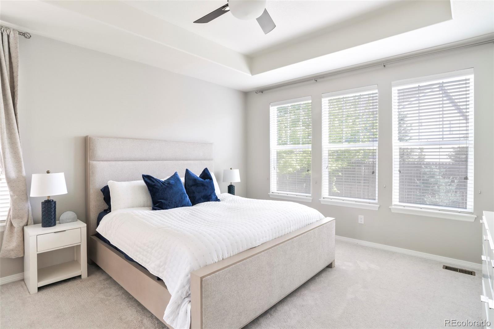 MLS Image #11 for 14850  munich avenue,parker, Colorado