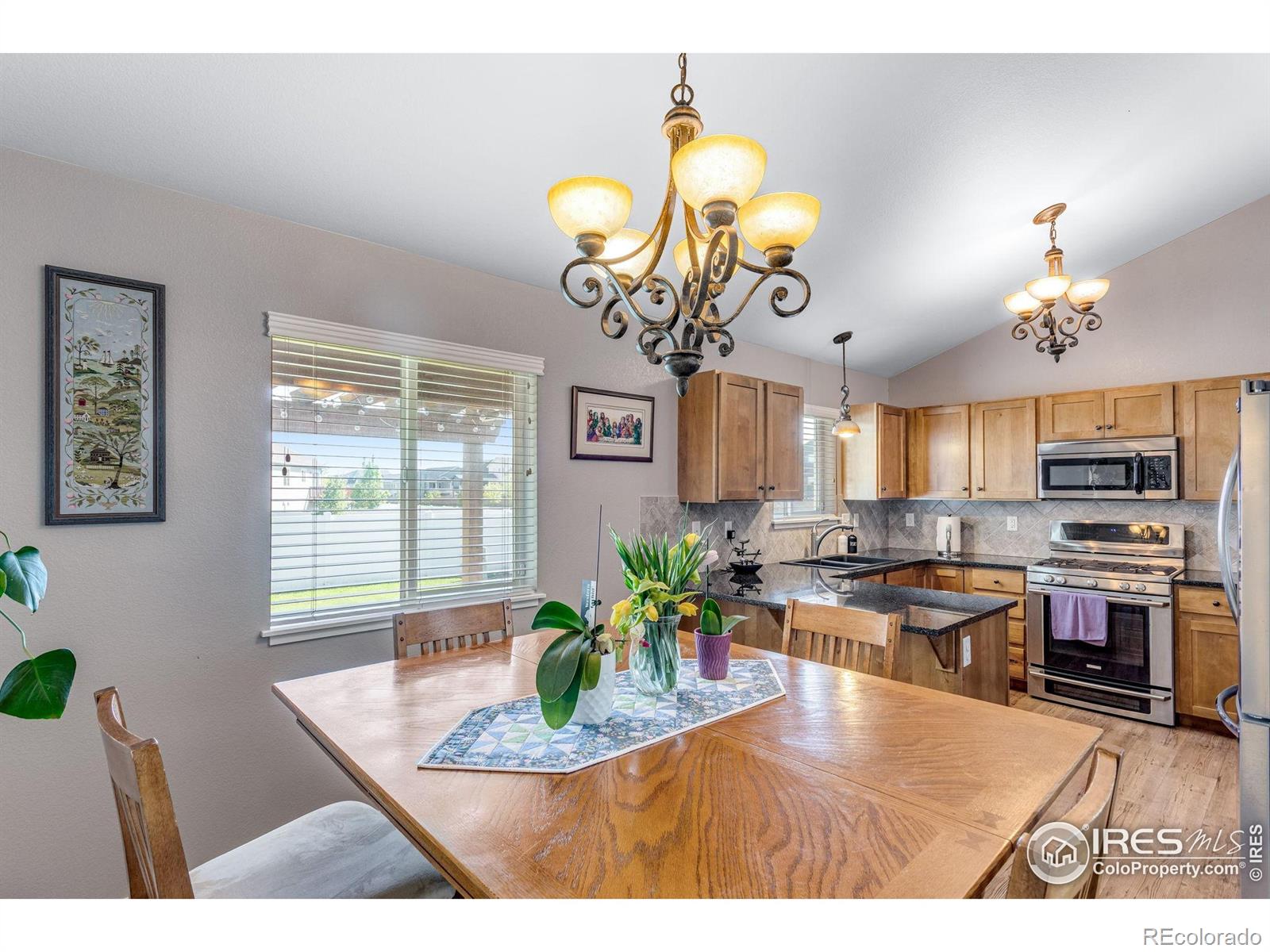 MLS Image #18 for 680  saratoga way,windsor, Colorado
