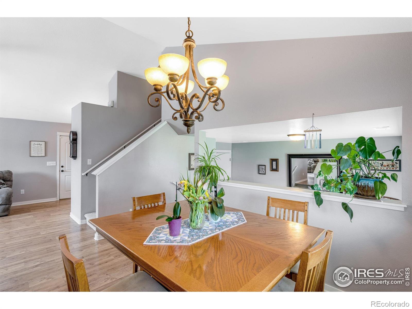 MLS Image #19 for 680  saratoga way,windsor, Colorado