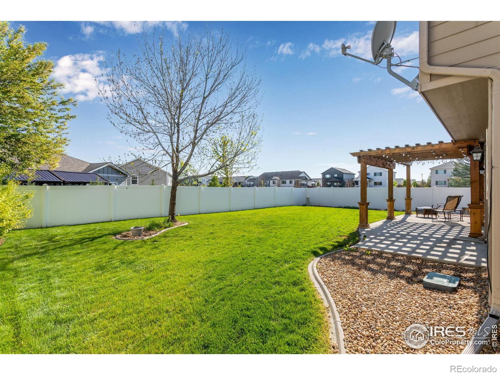 MLS Image #5 for 680  saratoga way,windsor, Colorado