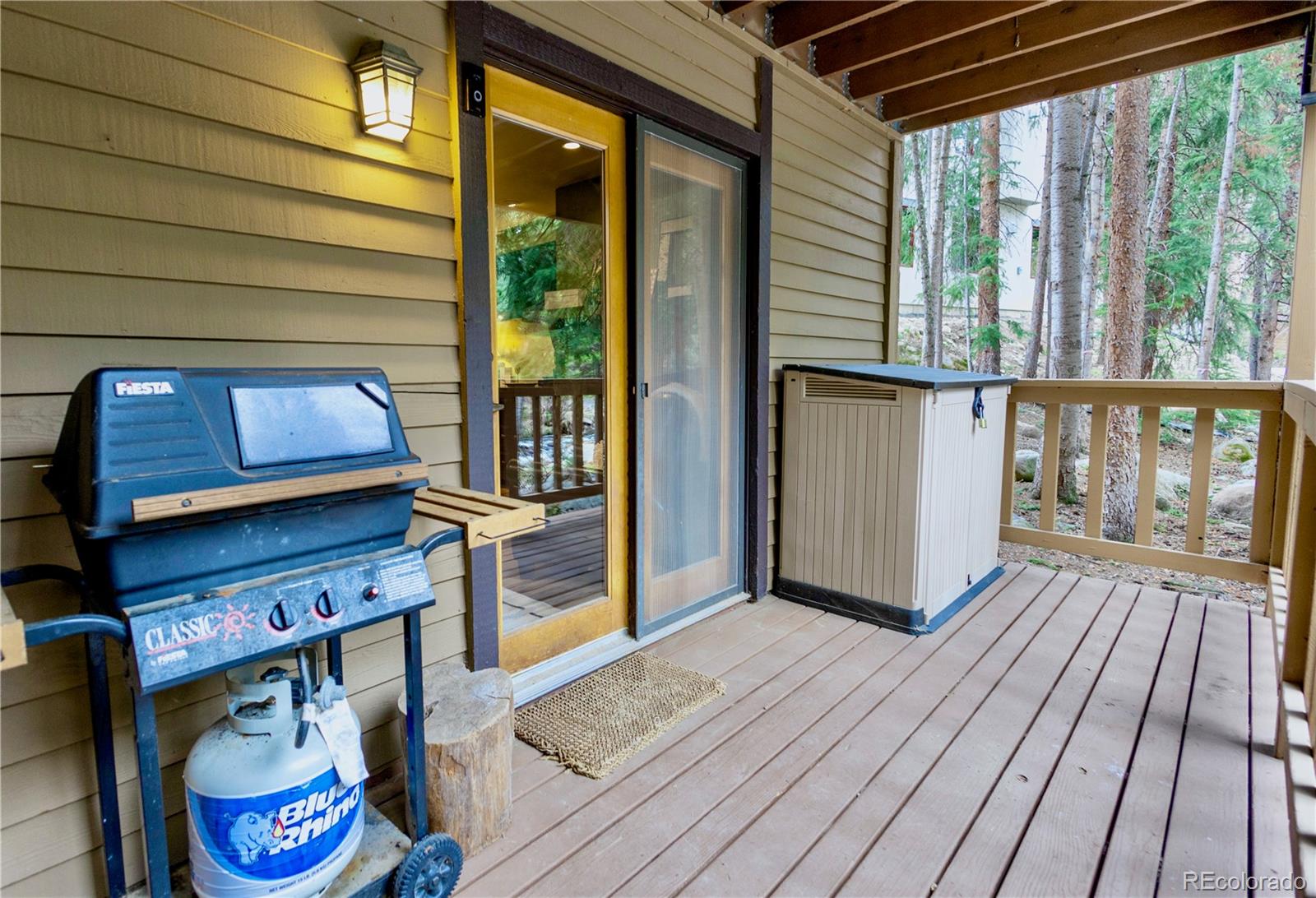 MLS Image #14 for 145  arapahoe road,winter park, Colorado