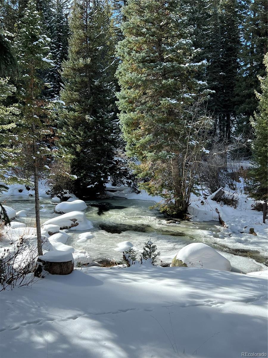 MLS Image #16 for 145  arapahoe road,winter park, Colorado