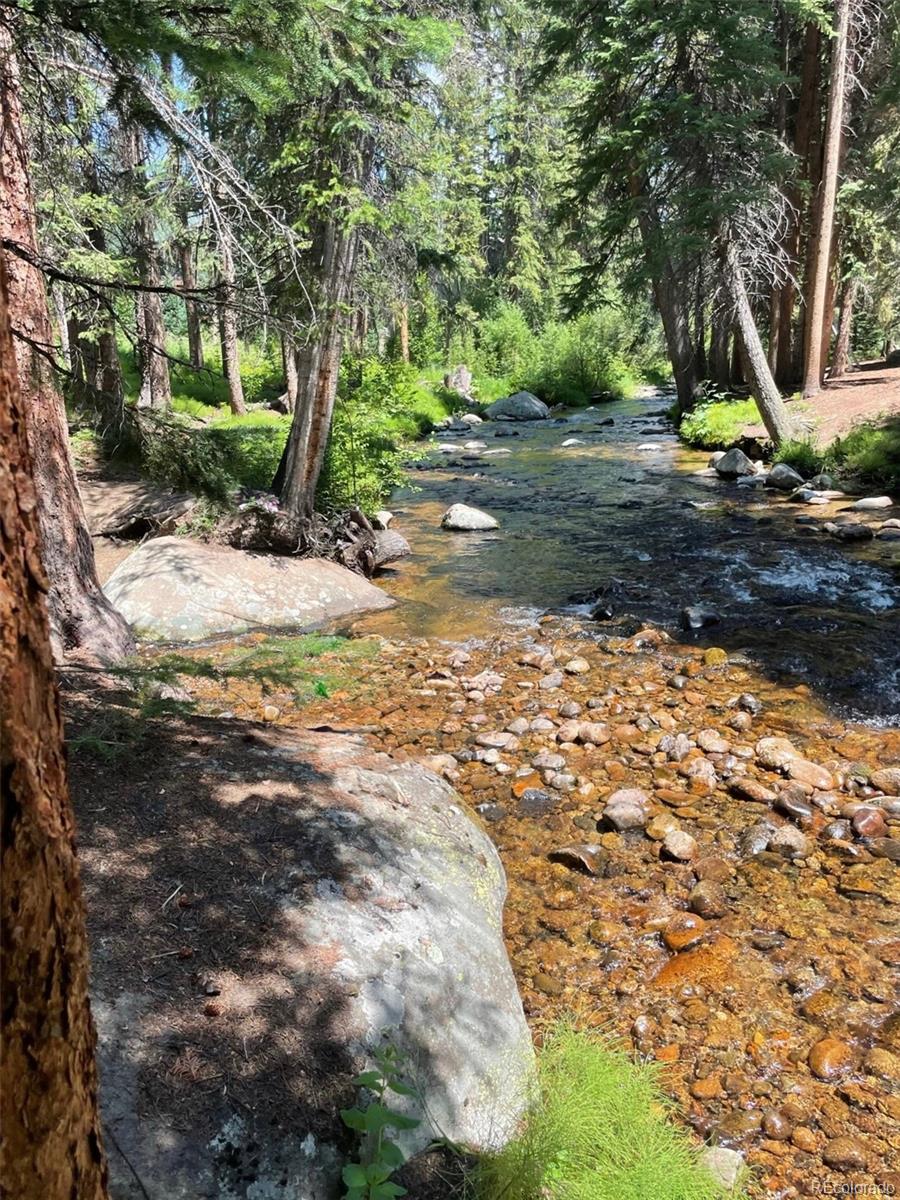 MLS Image #30 for 145  arapahoe road,winter park, Colorado