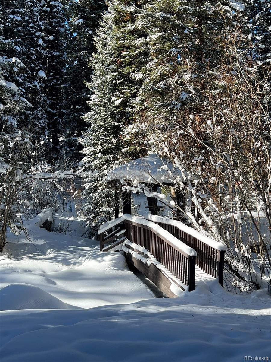 MLS Image #31 for 145  arapahoe road,winter park, Colorado