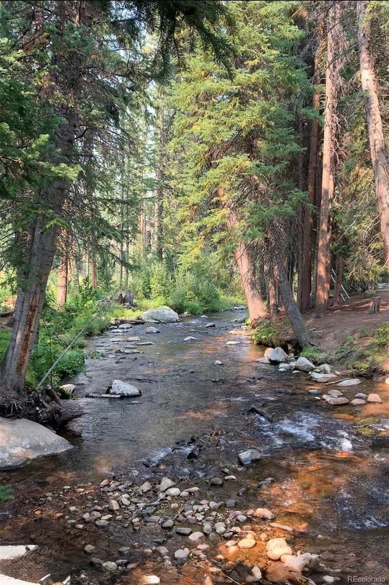 MLS Image #32 for 145  arapahoe road,winter park, Colorado