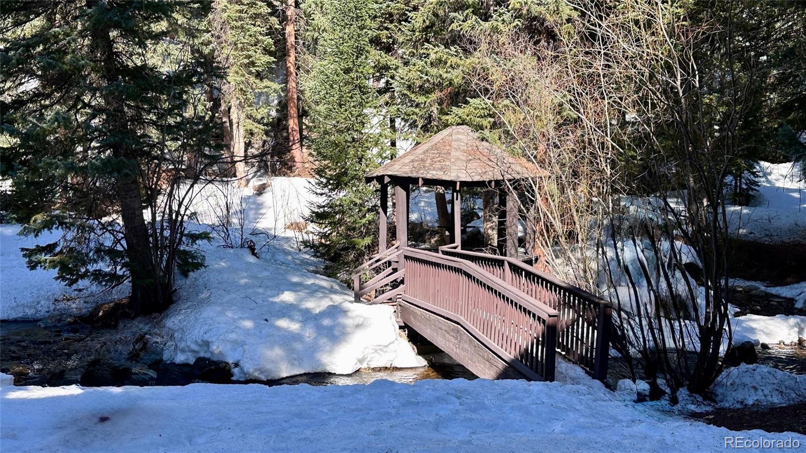 MLS Image #35 for 145  arapahoe road,winter park, Colorado