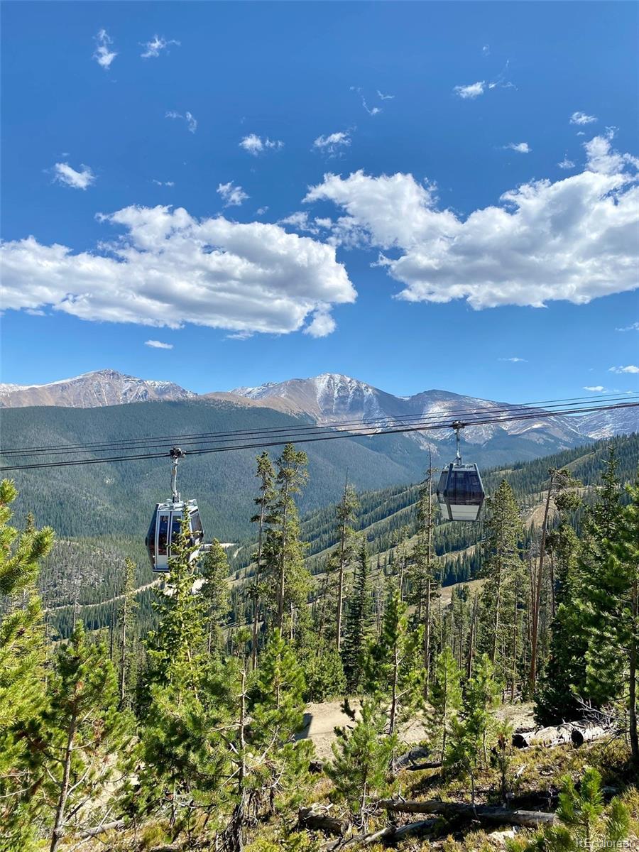 MLS Image #38 for 145  arapahoe road,winter park, Colorado