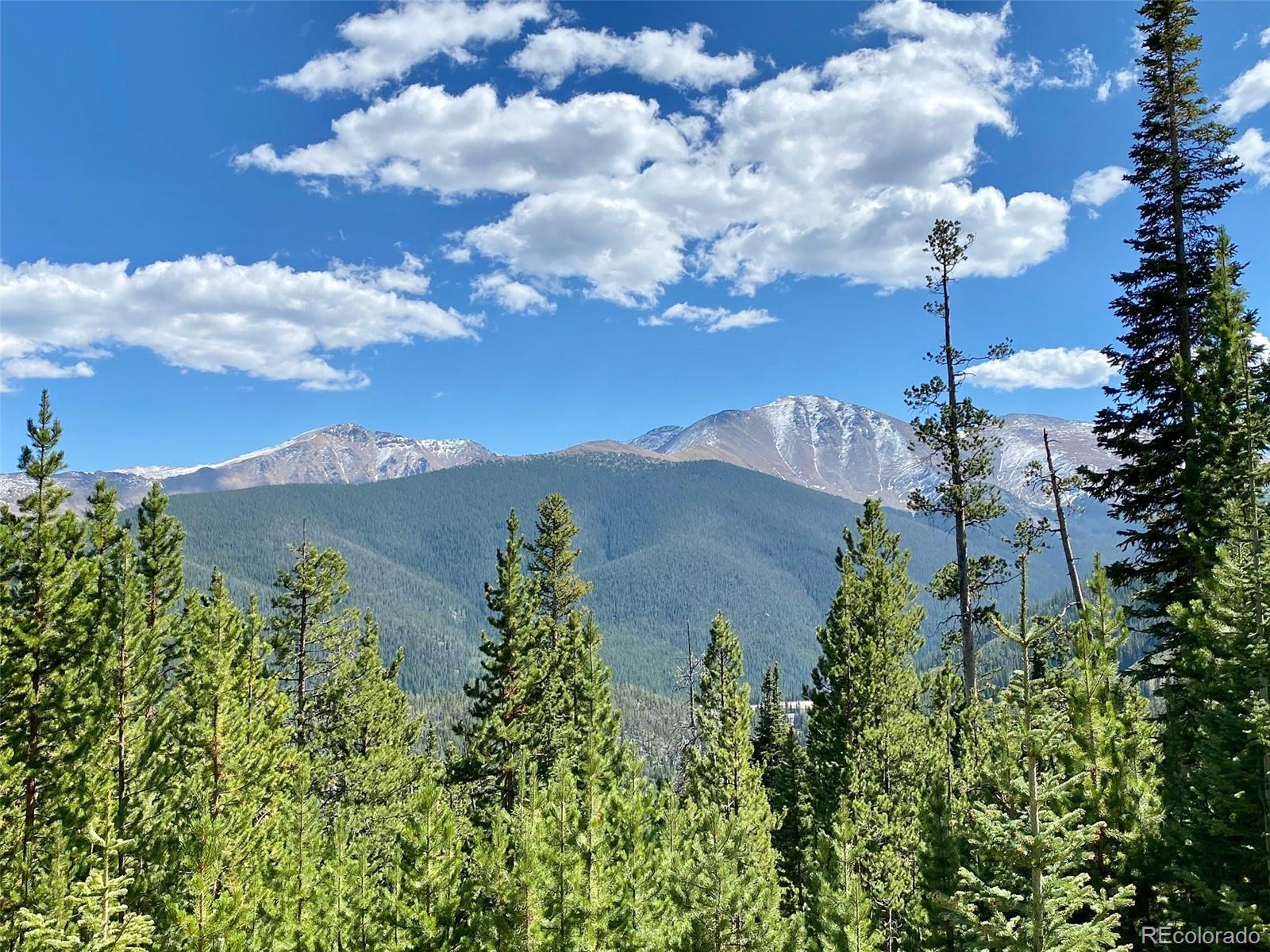 MLS Image #40 for 145  arapahoe road,winter park, Colorado