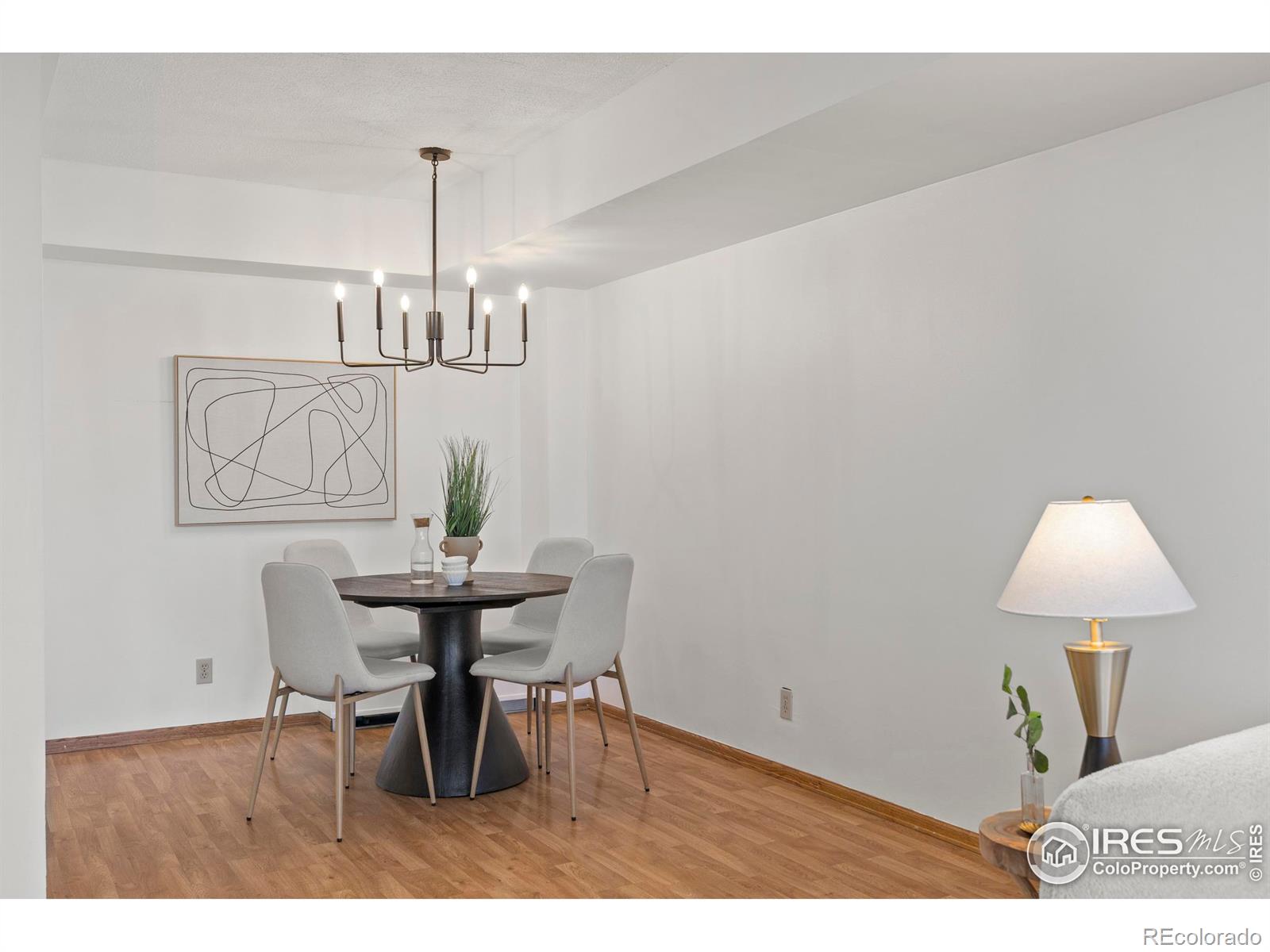 MLS Image #18 for 421 s howes street,fort collins, Colorado