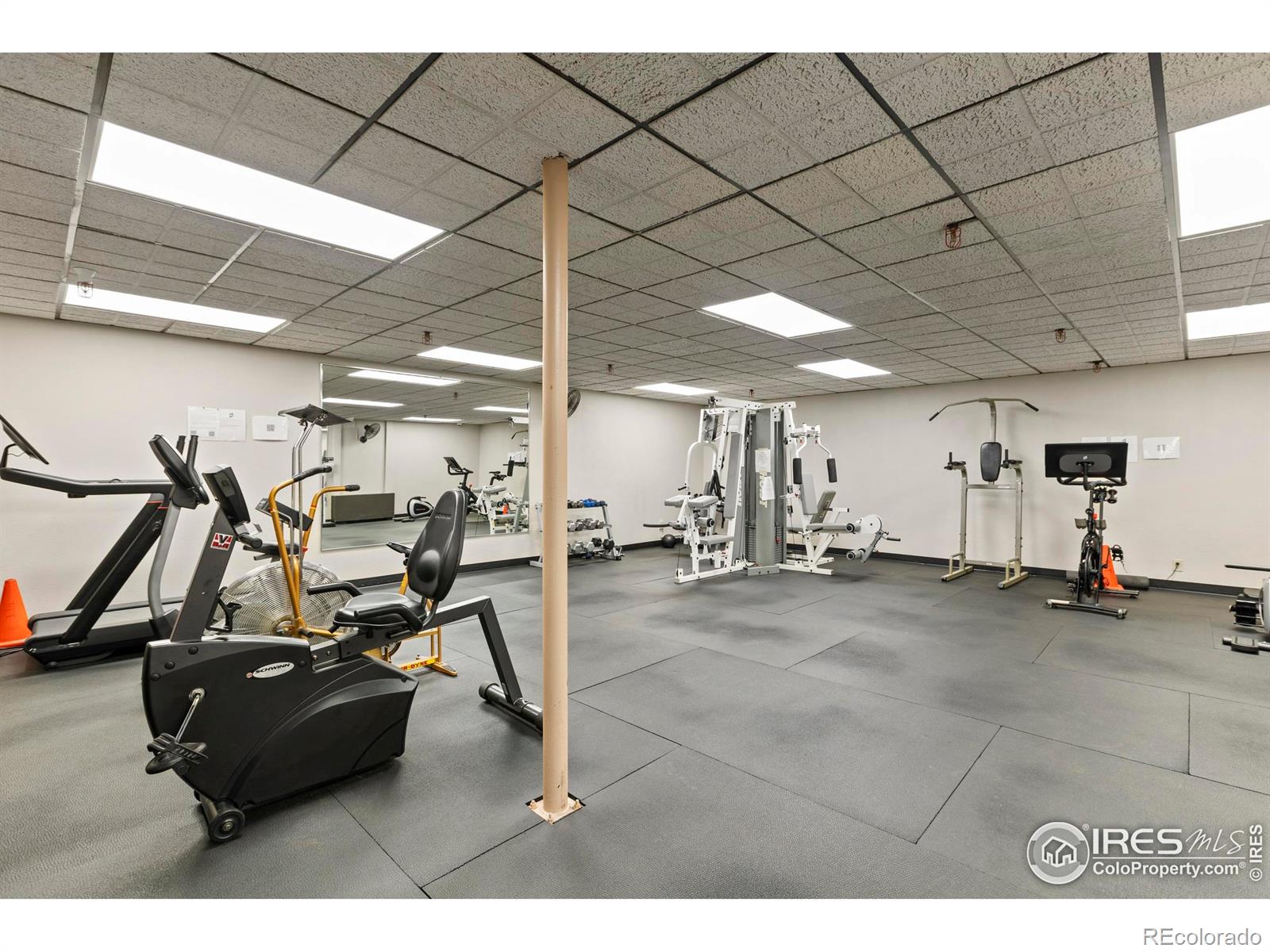 MLS Image #31 for 421 s howes street,fort collins, Colorado