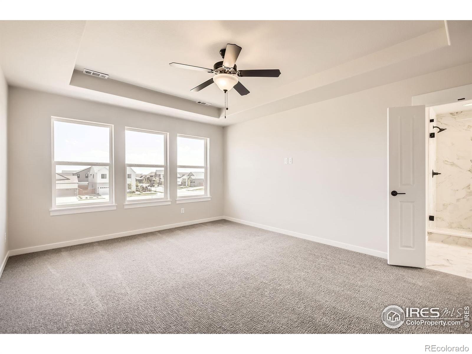 MLS Image #13 for 1679  crystalline drive,windsor, Colorado