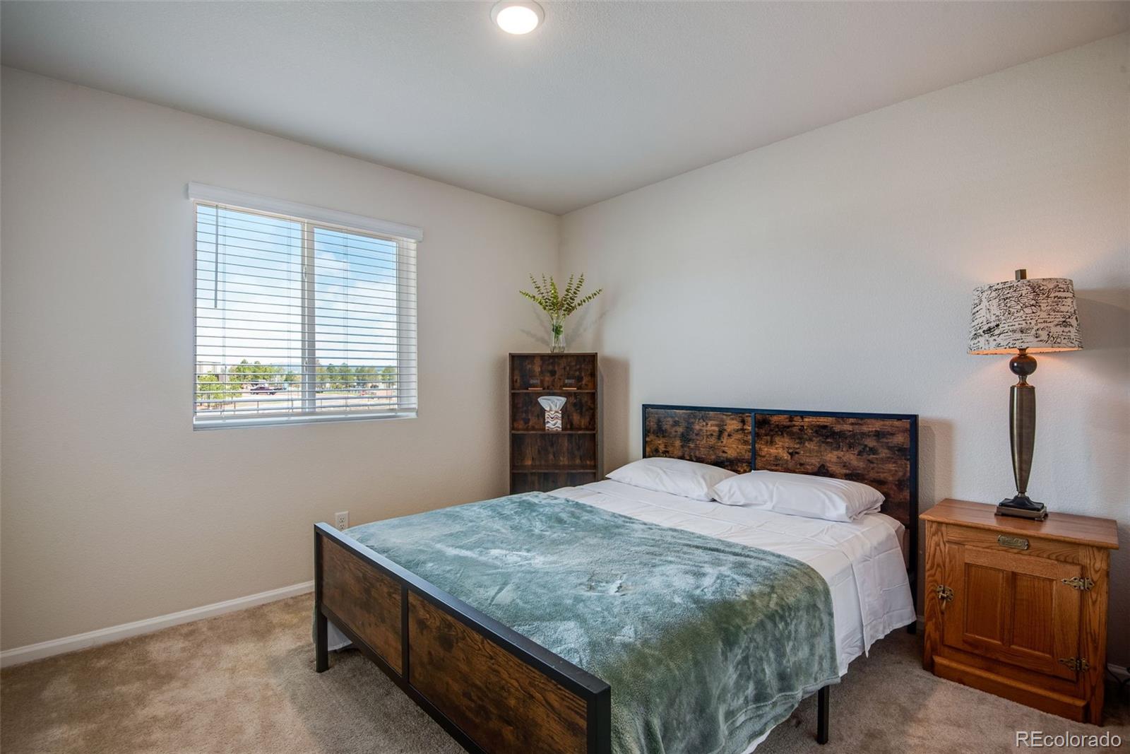 MLS Image #22 for 16470  mountain flax drive,monument, Colorado