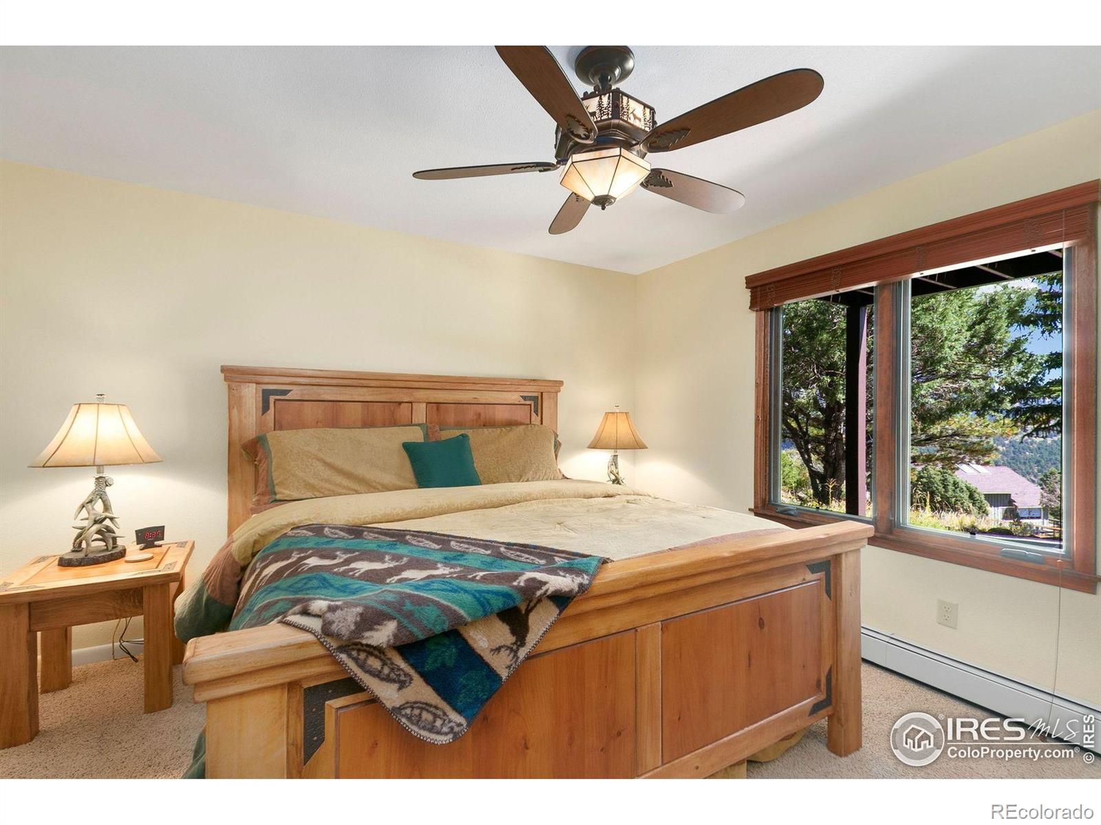 MLS Image #30 for 1433  vista view lane,estes park, Colorado