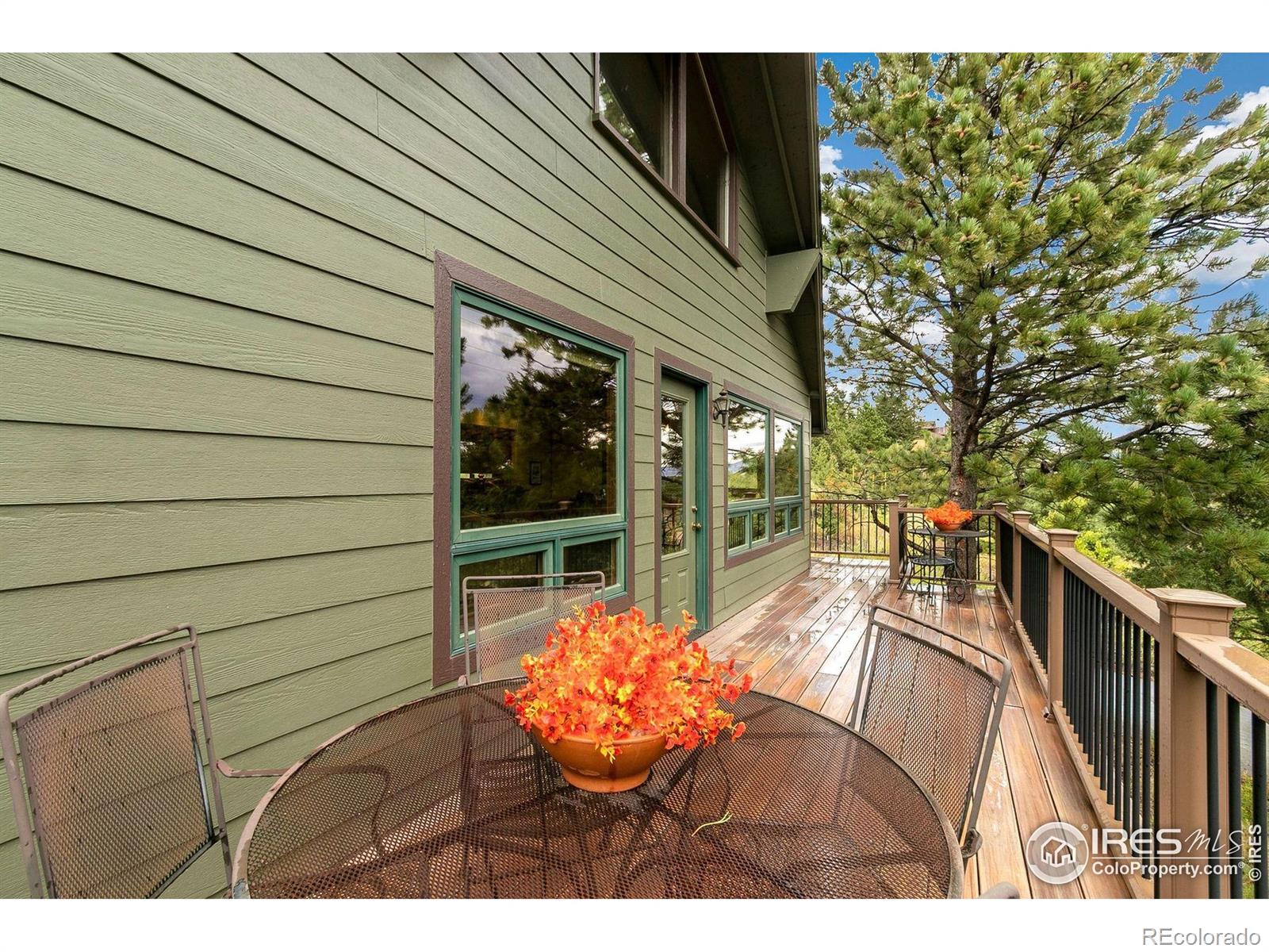 MLS Image #4 for 1433  vista view lane,estes park, Colorado