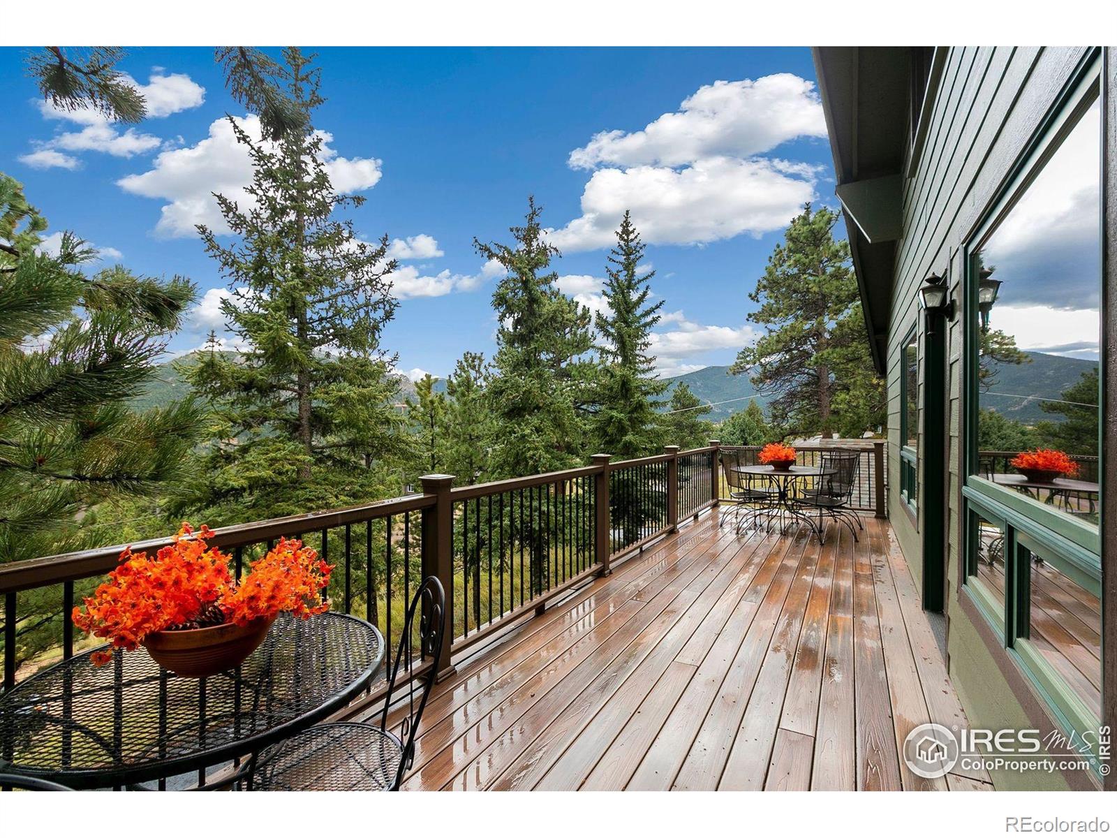 MLS Image #6 for 1433  vista view lane,estes park, Colorado