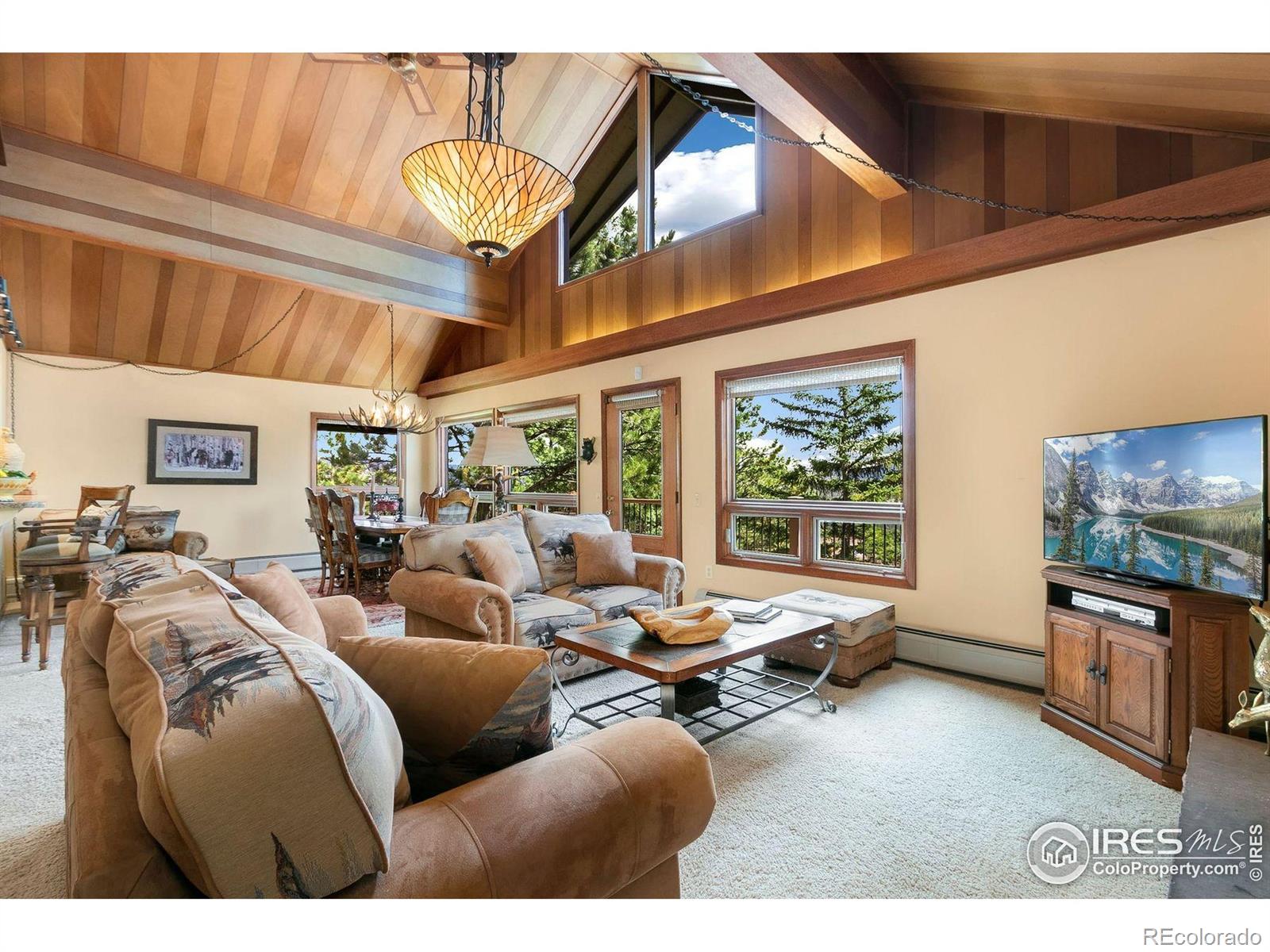 MLS Image #8 for 1433  vista view lane,estes park, Colorado