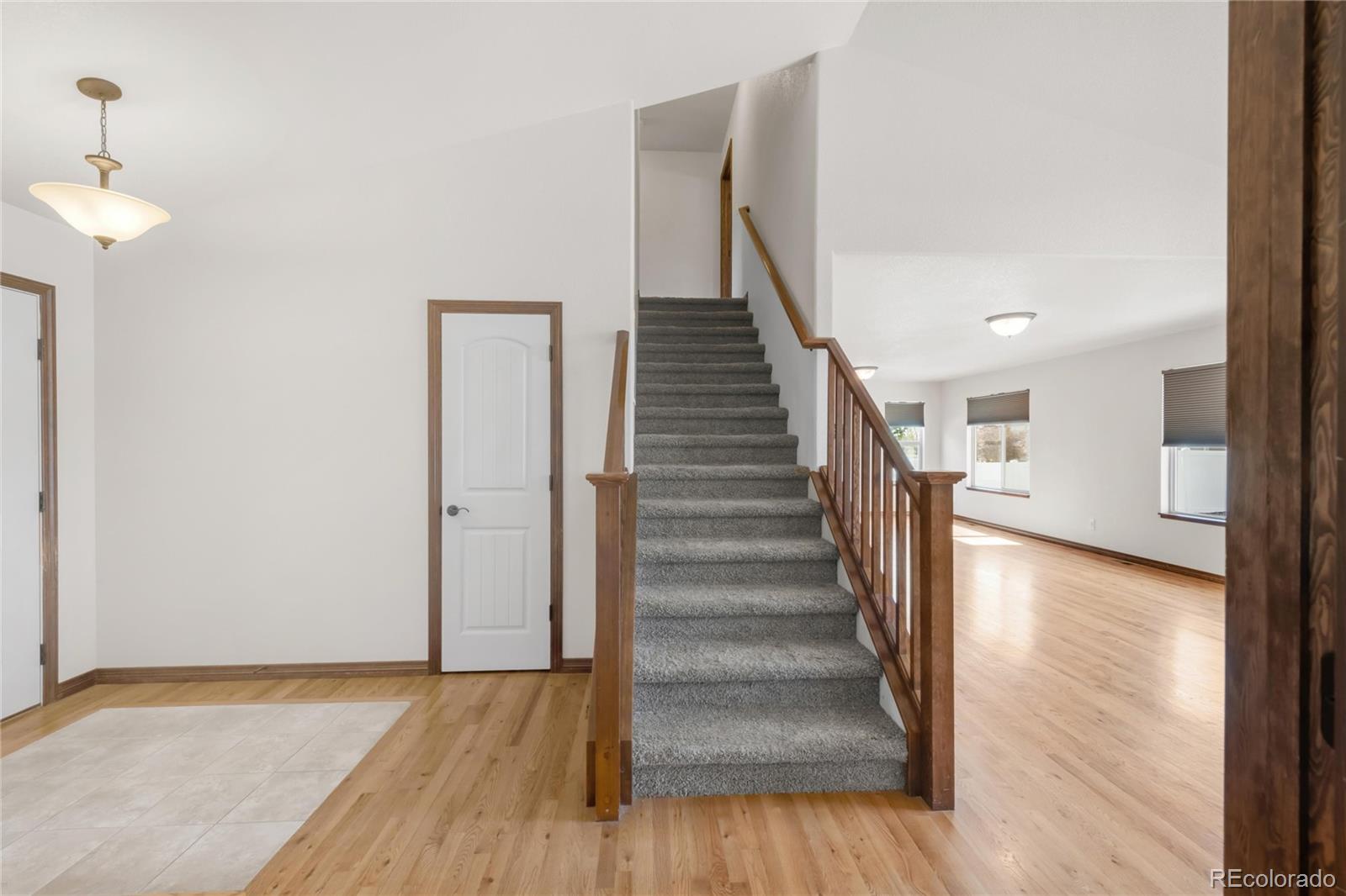 MLS Image #19 for 1507  alpine avenue,berthoud, Colorado