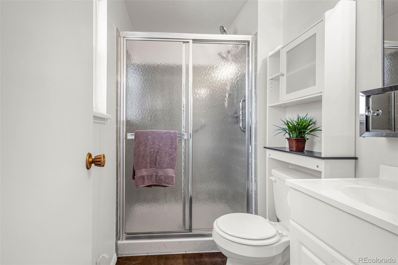MLS Image #18 for 2706  penacho circle,colorado springs, Colorado