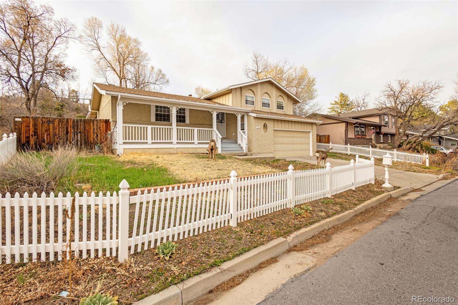 MLS Image #31 for 2706  penacho circle,colorado springs, Colorado
