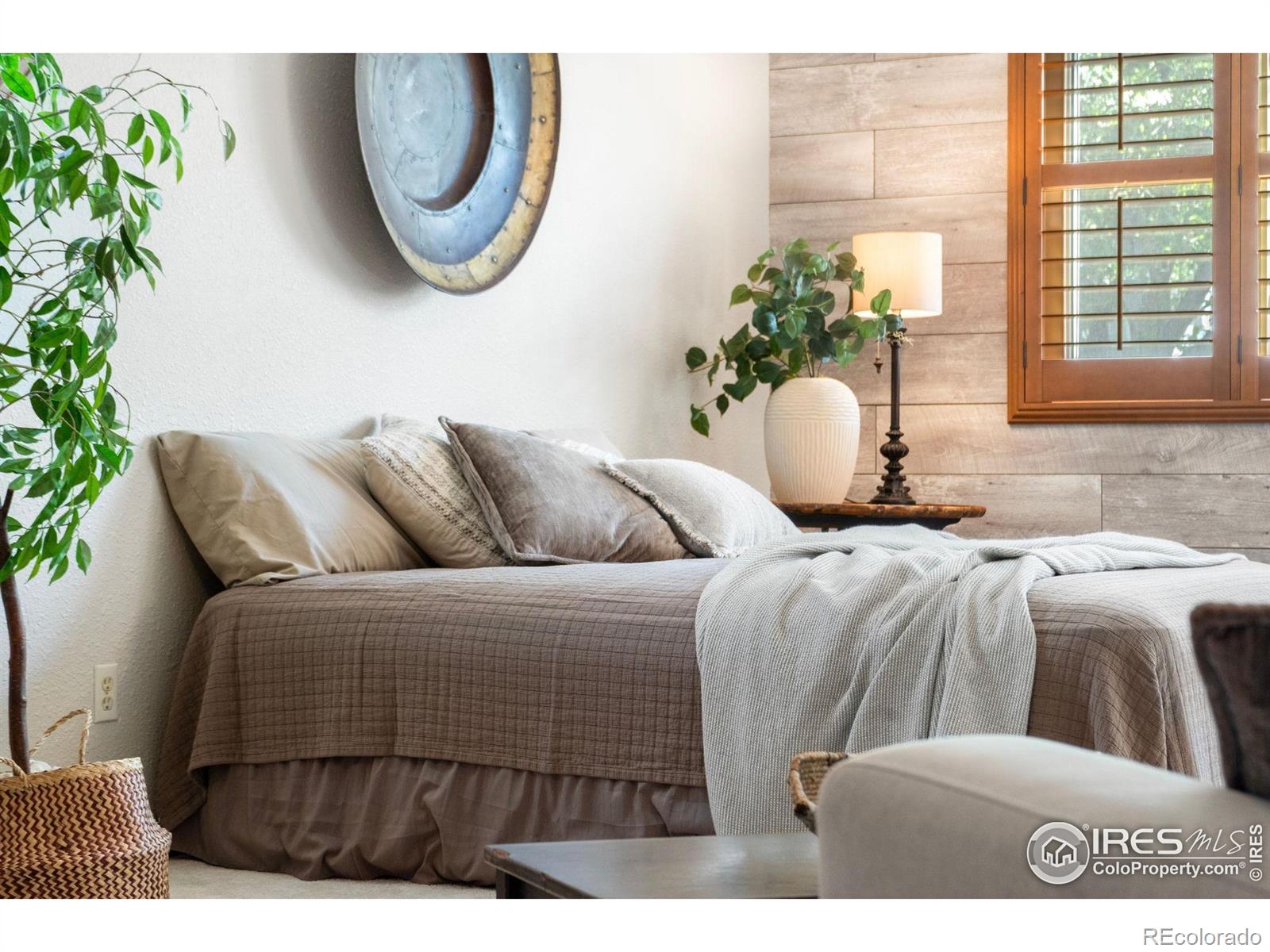 MLS Image #15 for 215  maple court,windsor, Colorado