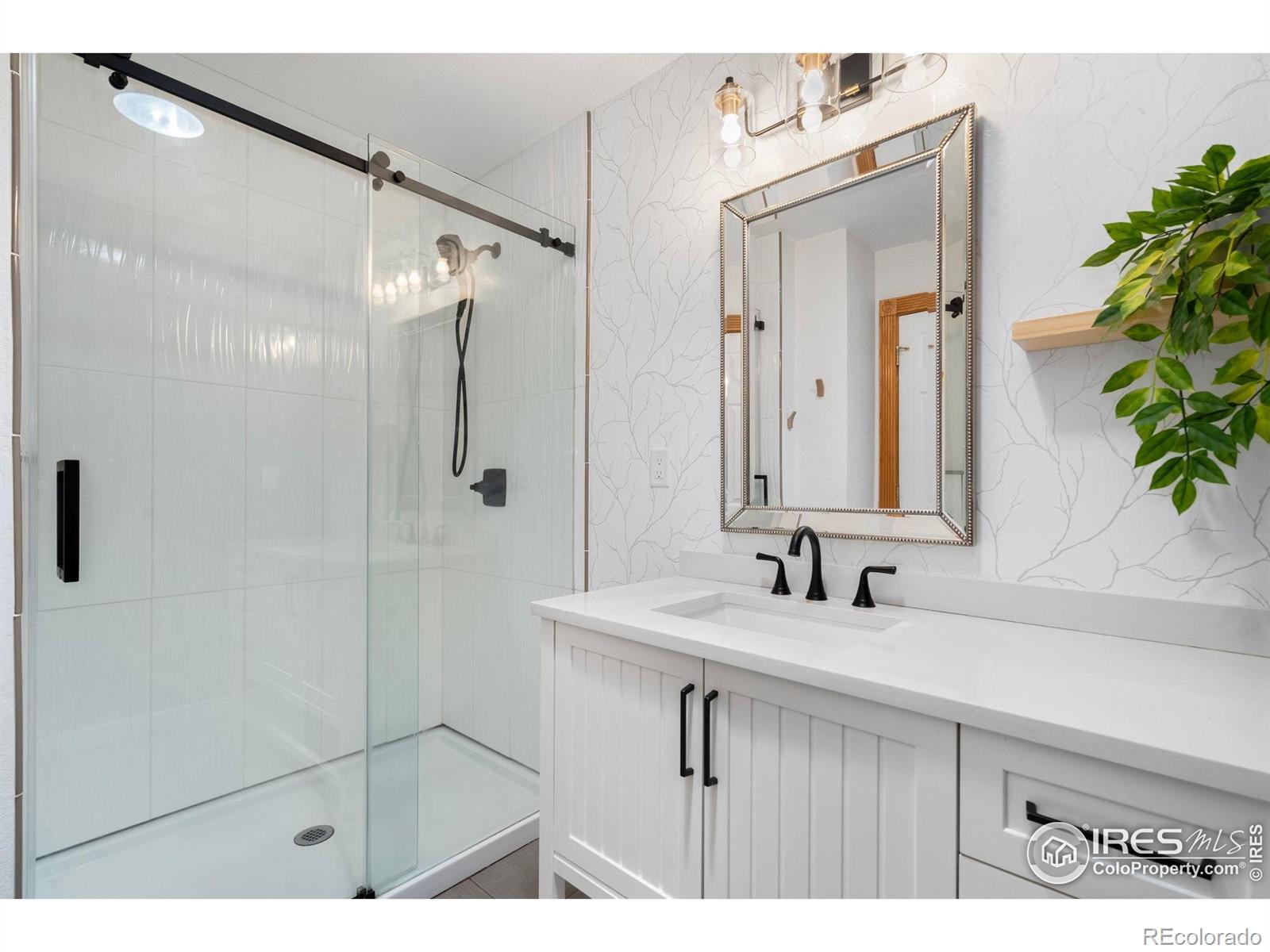 MLS Image #17 for 215  maple court,windsor, Colorado