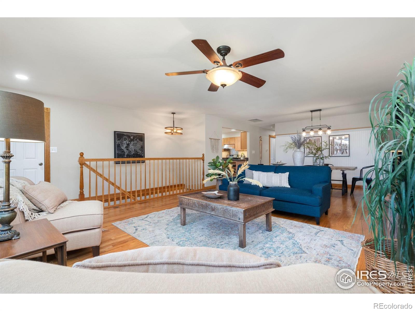 MLS Image #4 for 215  maple court,windsor, Colorado