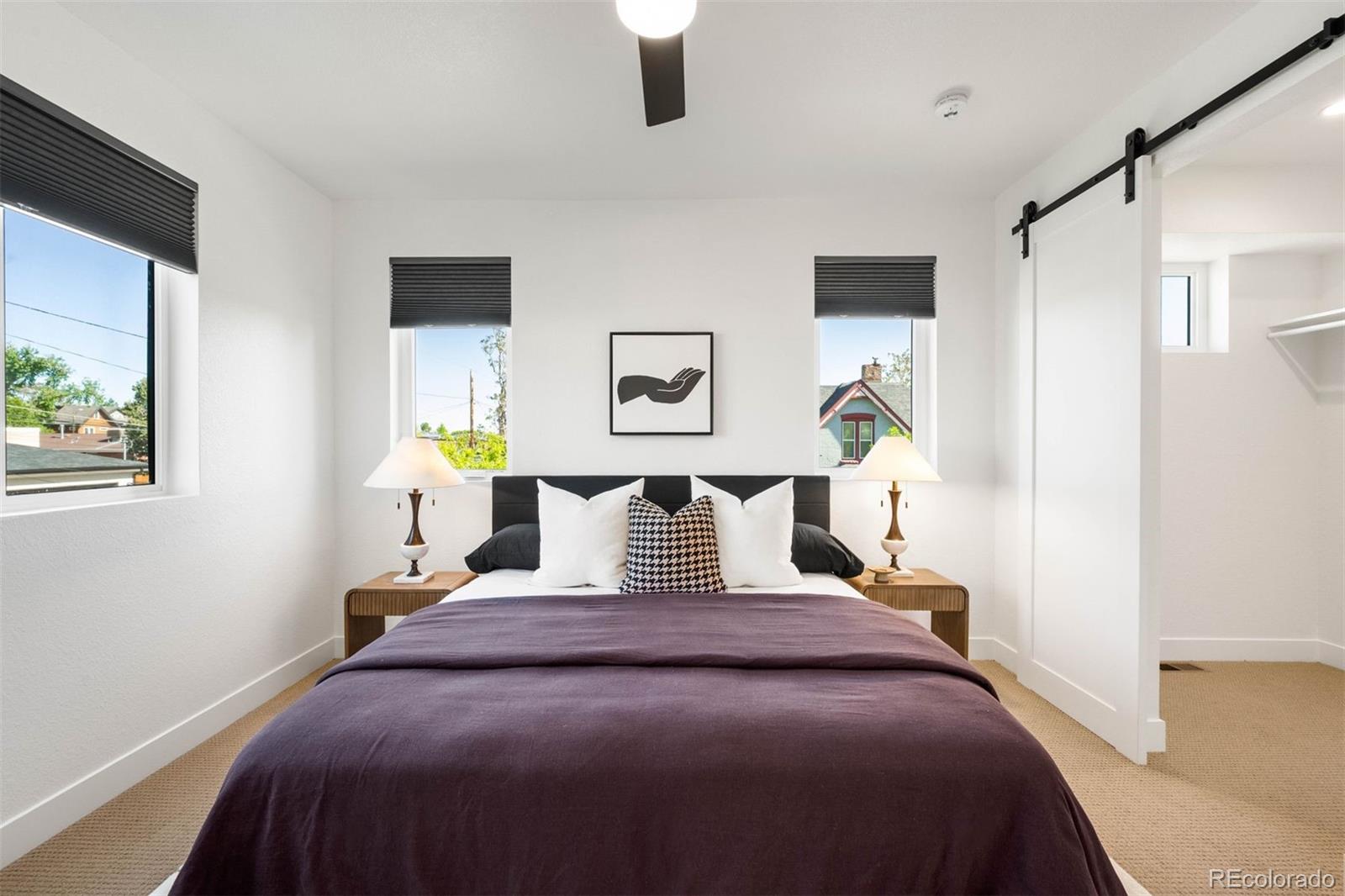 MLS Image #19 for 4227  mariposa street,denver, Colorado