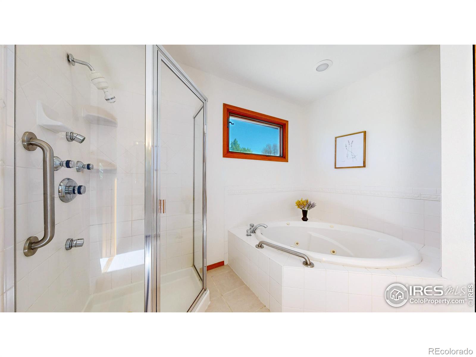 MLS Image #18 for 2917  garrett drive,fort collins, Colorado