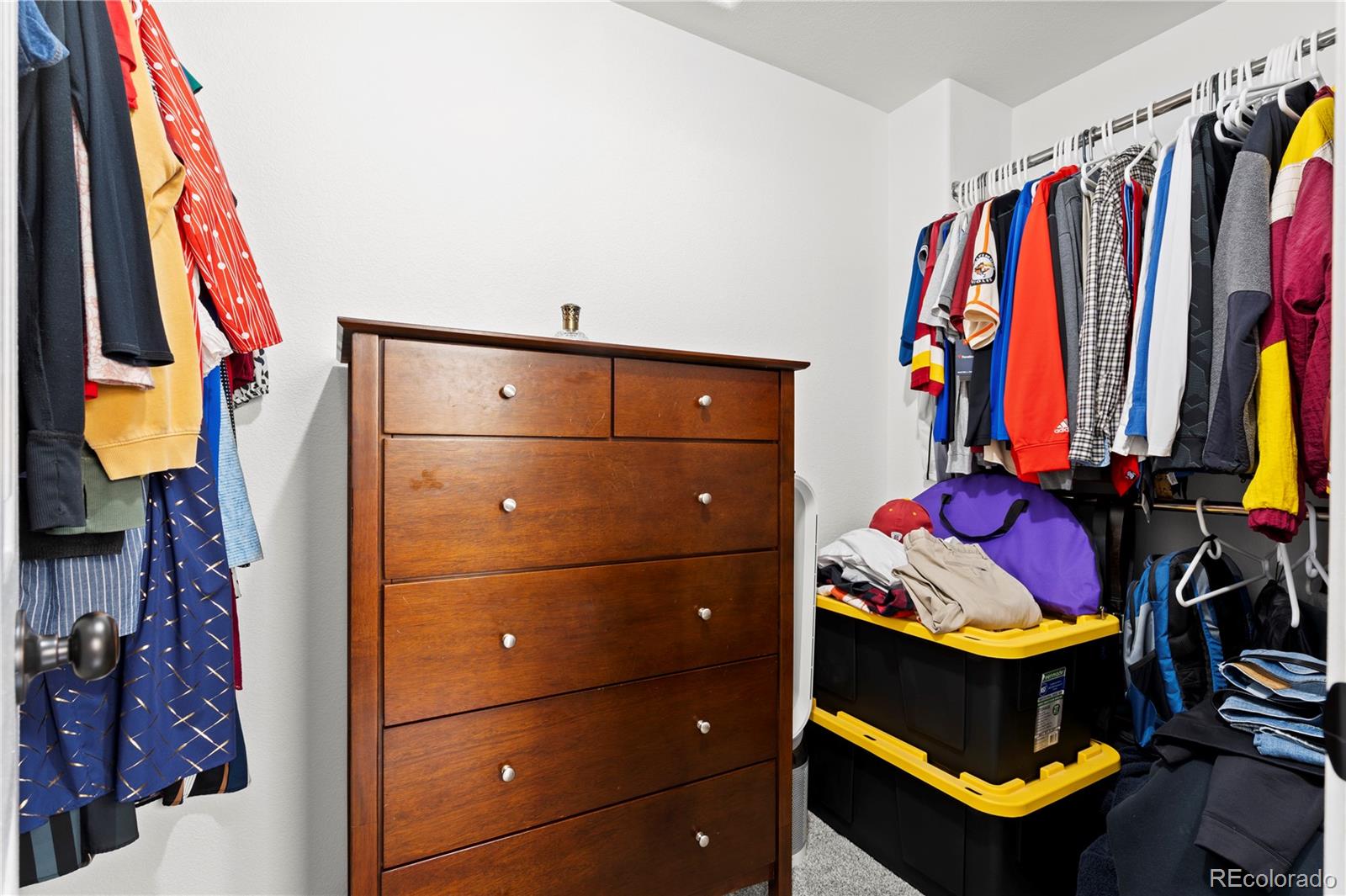 MLS Image #15 for 4441  range creek drive,colorado springs, Colorado