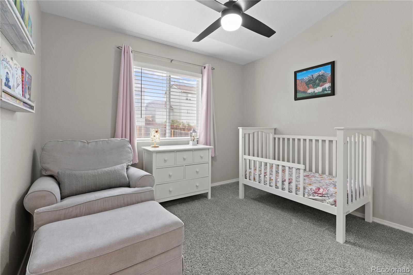 MLS Image #16 for 4441  range creek drive,colorado springs, Colorado