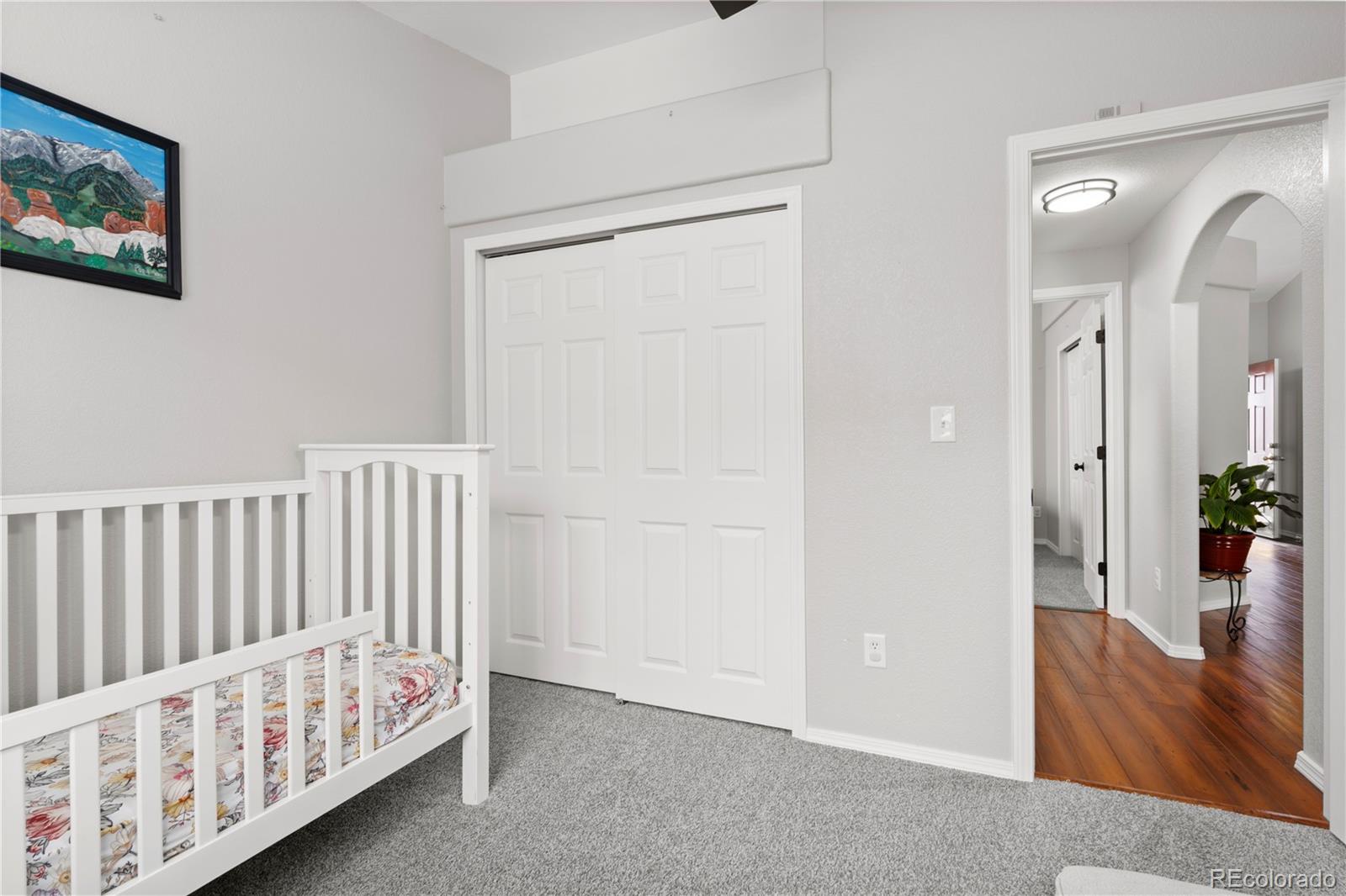 MLS Image #17 for 4441  range creek drive,colorado springs, Colorado