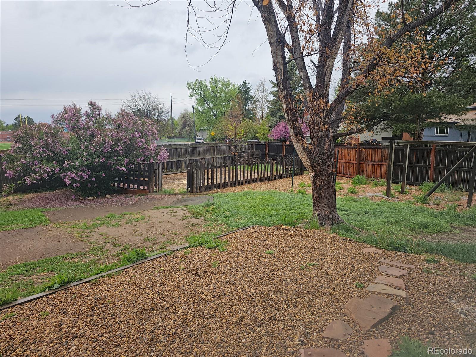 MLS Image #19 for 880  orion drive,lafayette, Colorado