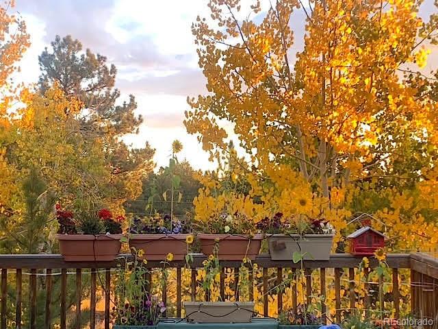 MLS Image #2 for 975  windmill drive,hartsel, Colorado
