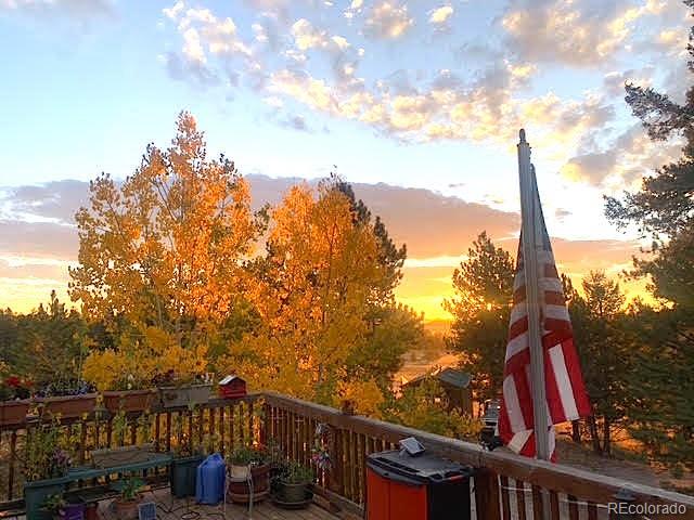 MLS Image #20 for 975  windmill drive,hartsel, Colorado