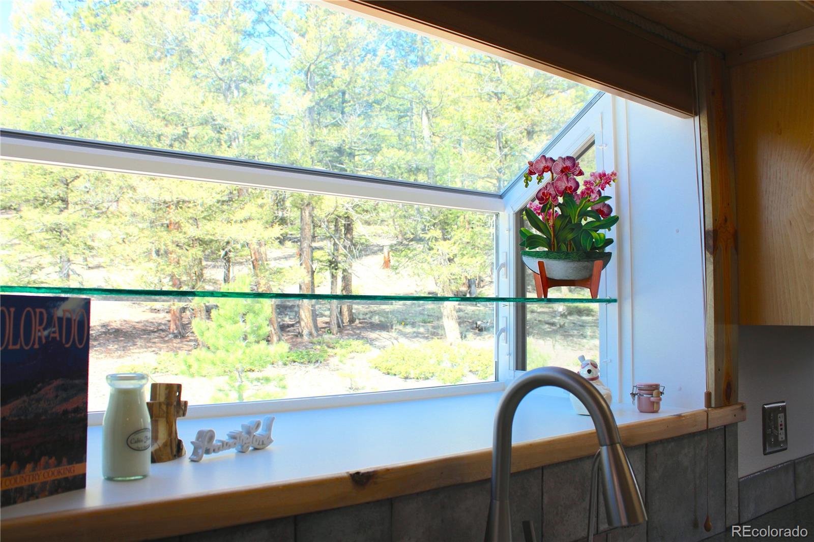 MLS Image #27 for 975  windmill drive,hartsel, Colorado