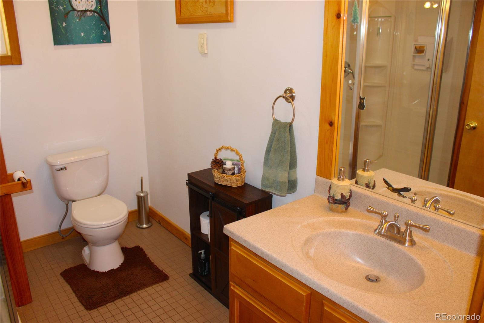 MLS Image #30 for 975  windmill drive,hartsel, Colorado