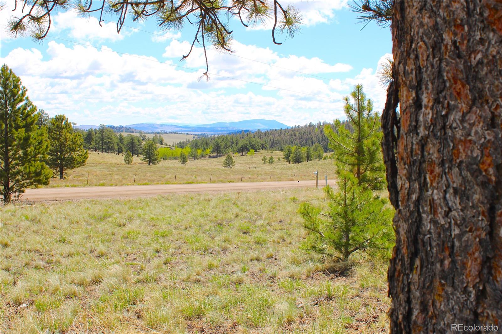 MLS Image #47 for 975  windmill drive,hartsel, Colorado