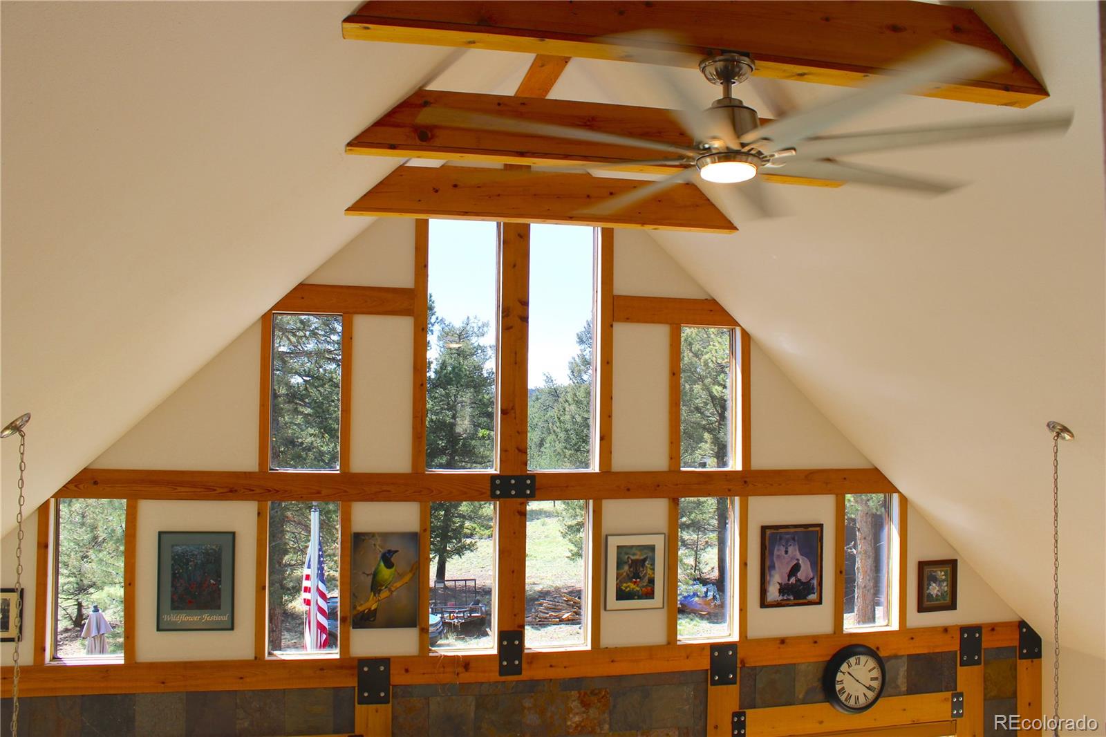 MLS Image #5 for 975  windmill drive,hartsel, Colorado