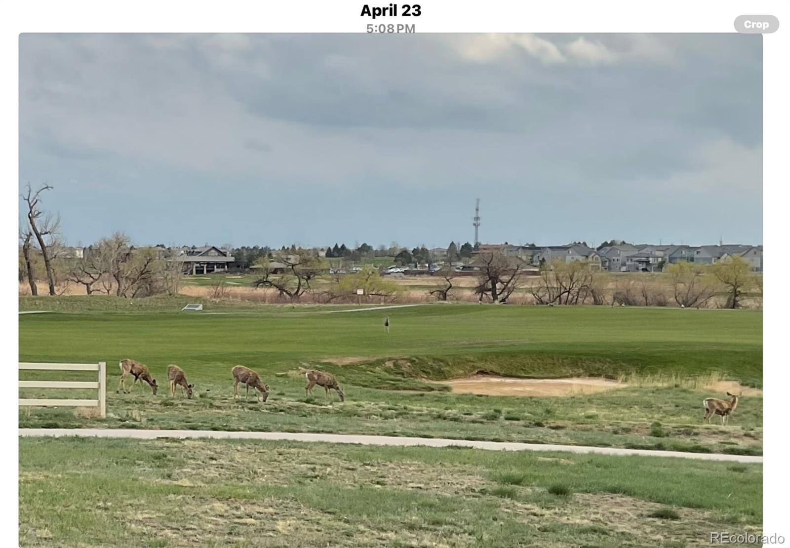 MLS Image #41 for 19688 e 52nd avenue,denver, Colorado