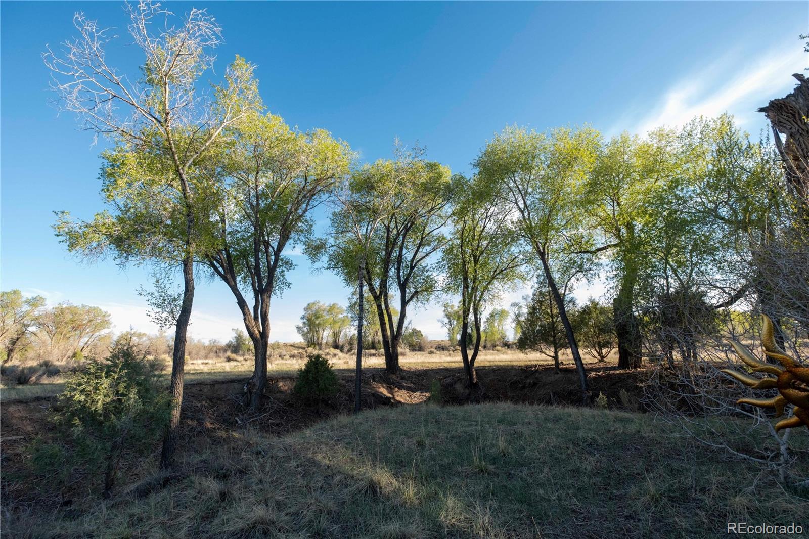 MLS Image #3 for 1015  sycamore road,crestone, Colorado