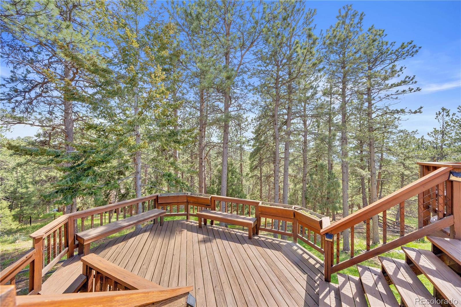 MLS Image #14 for 900  ballantine road,golden, Colorado